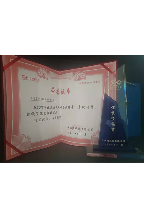 温岭市比亚迪2018优秀经销商